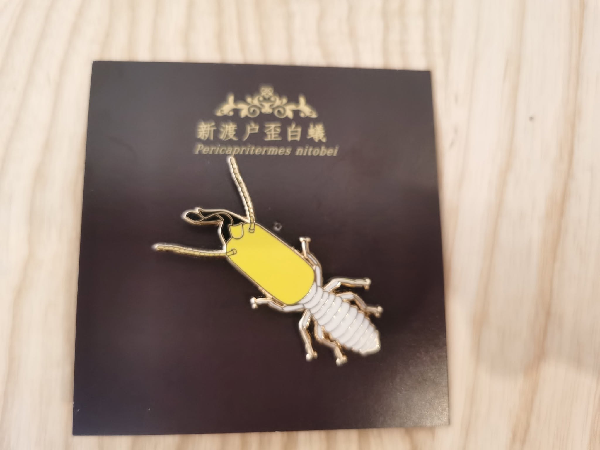 科學漫畫工作室 — 實體書《萌動力：一頁漫畫學生物力學》封面
